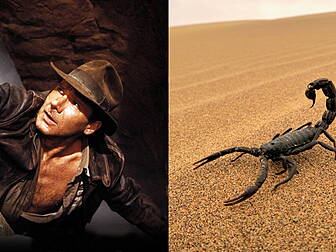 Irish Research Proves That Ind...